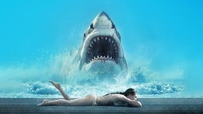 Shark Warning